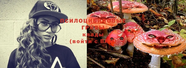 сатива Алексин